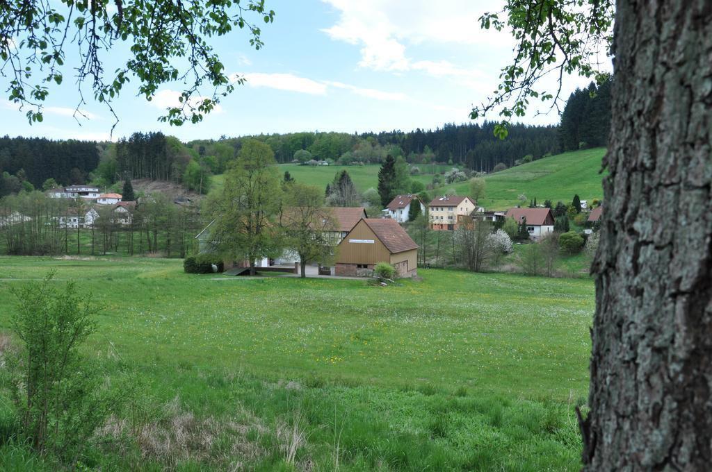 Ferienwohnungen Zur Muehle Mossautal Esterno foto